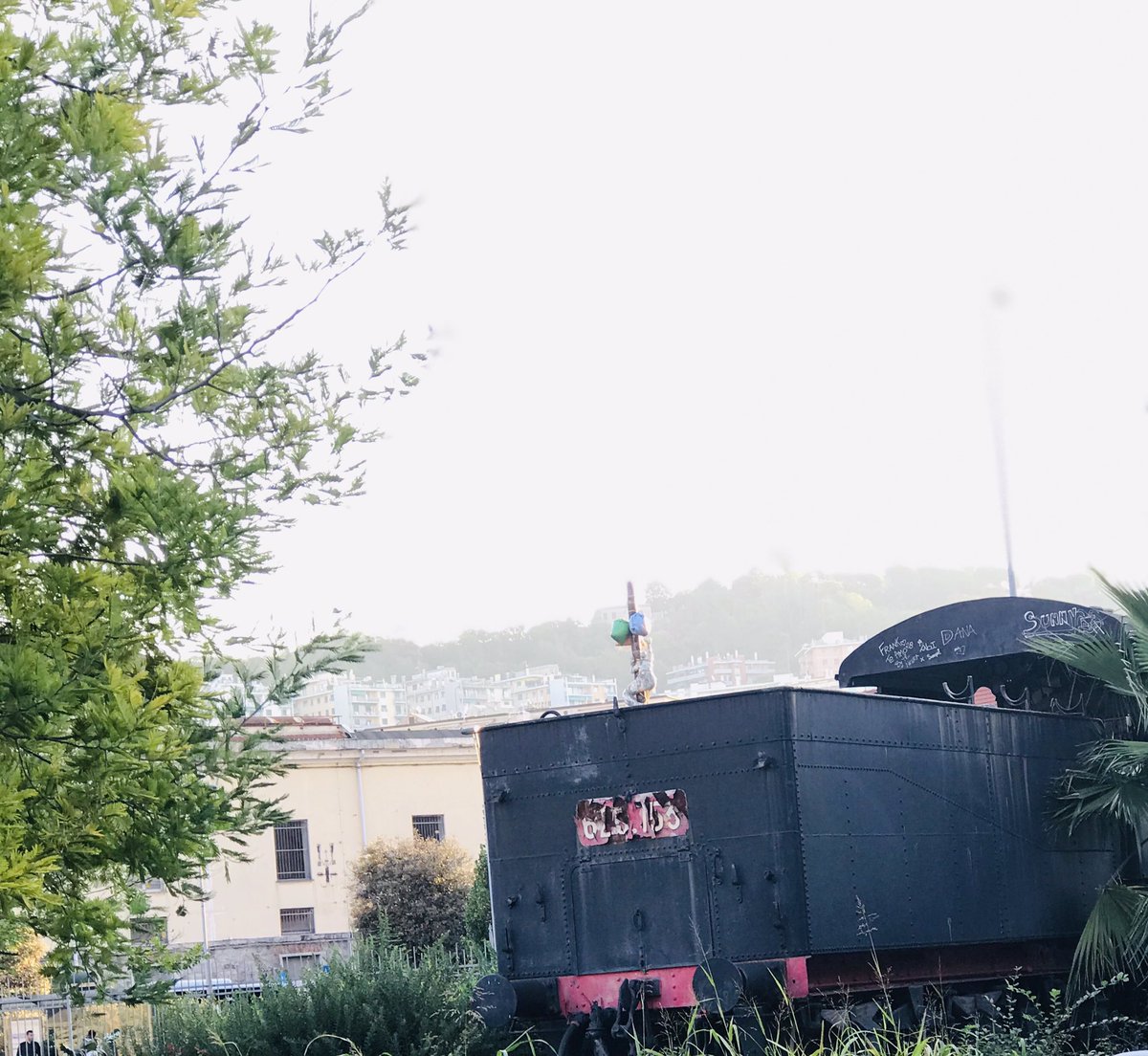 DebGiusy's tweet photo. E allora io quasi quasi prendo il treno e vengo 🎵🎶vengo da te ... 🎵🎶ma il treno dei desideri all’improvviso 🎵🎶🎶🎶 https://t.co/UFSo8R7brU