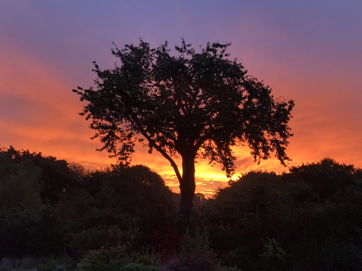 Grendon813's tweet photo. Old Buckenham sunrise @ChrisPage90 https://t.co/yPcLz8zIkg