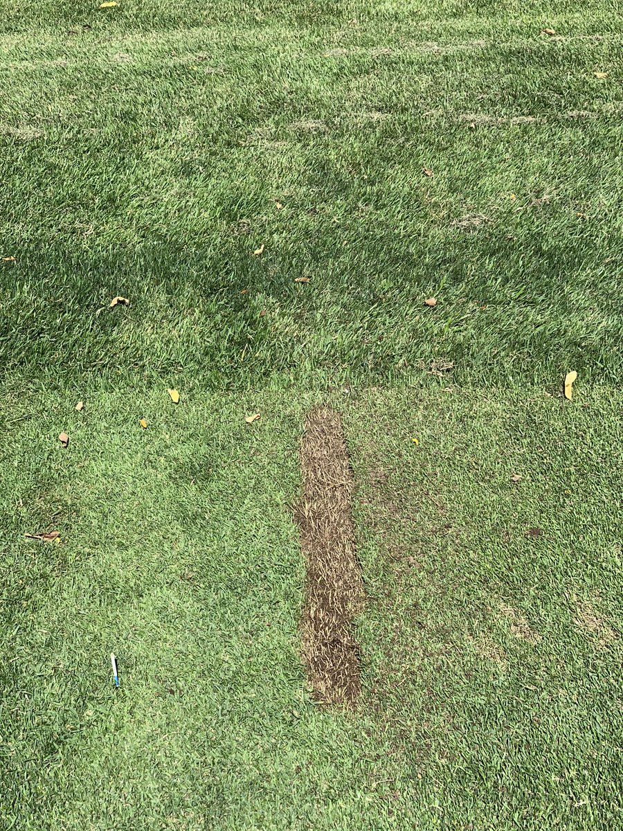 You’re welcome, <a href="/dfinney1/">DFinney</a>.