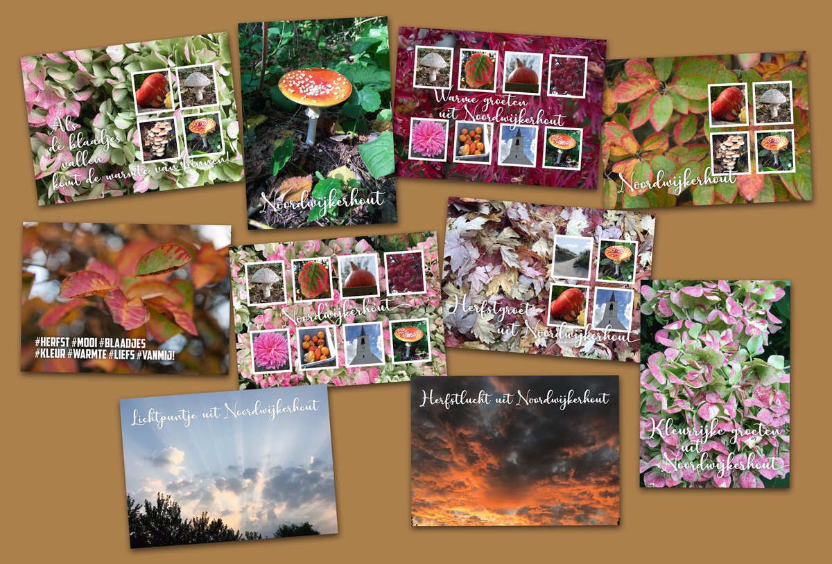 AnsGeerlings's tweet photo. M’n favoriete seizoen de herfst... Met plezier weer een kleurrijke ansichtkaartserie gemaakt, in samenwerking met Boekhandel Wagenaar & van Halem in Noordwijkerhout! Alles gefotografeerd 'gewoon' in Noordwijkerhout.
#ansichtkaart #herfst #noordwijkerhout #agdesign #ansgeerlings https://t.co/wNSvQ2qi5h