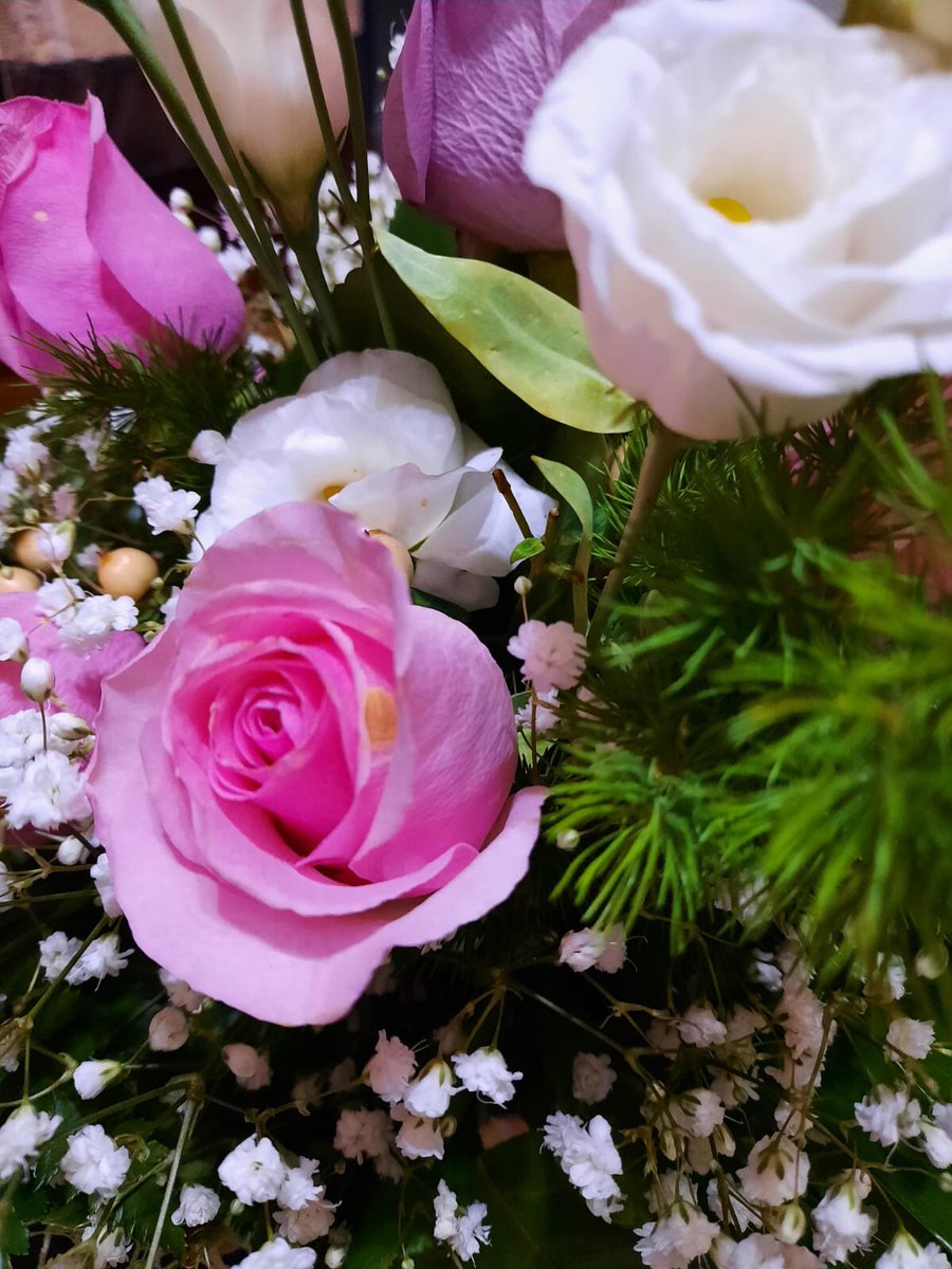 DebGiusy's tweet photo. Ti regalerò una rosa 🎵🎶😍🥰 https://t.co/neHl8lOo7P