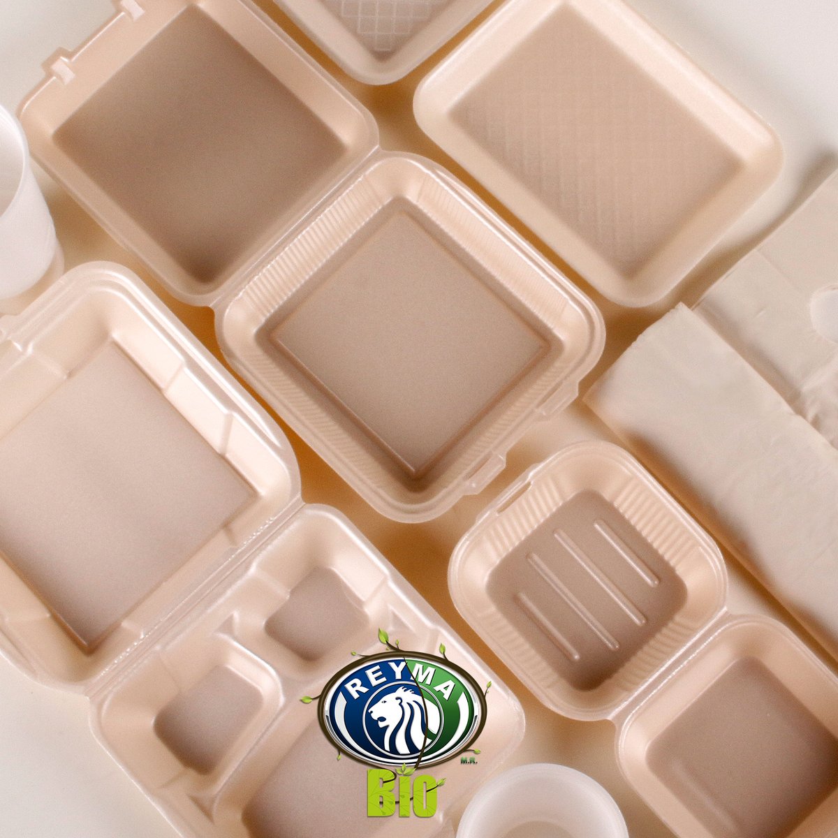 gruporeyma's tweet photo. Disfruta de la practicidad de la amplia gama de nuestros productos en su línea BIODEGRADABLE y ¡evolucionemos juntos!
#ReymaBio #EvolucionemosJuntos 🌎 https://t.co/LRxCsH8z7A