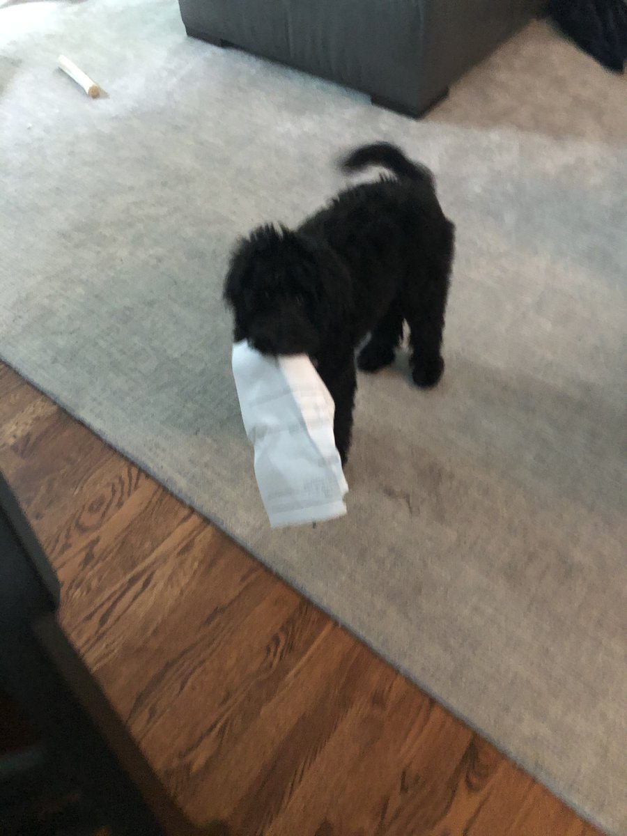 Navy Elementary tweet media