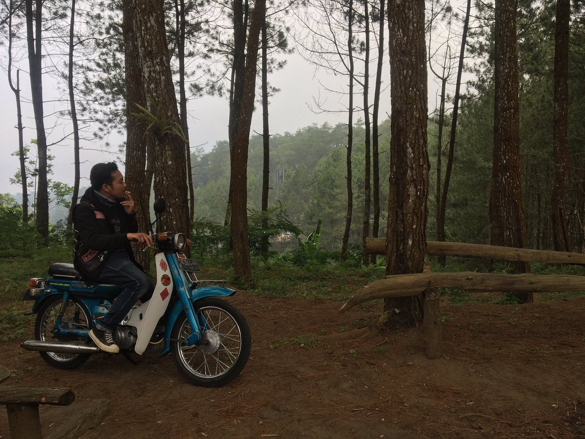 Never regret a day in your life; good days give happiness, bad days give experiences, worst day give lessons, and best day give memories