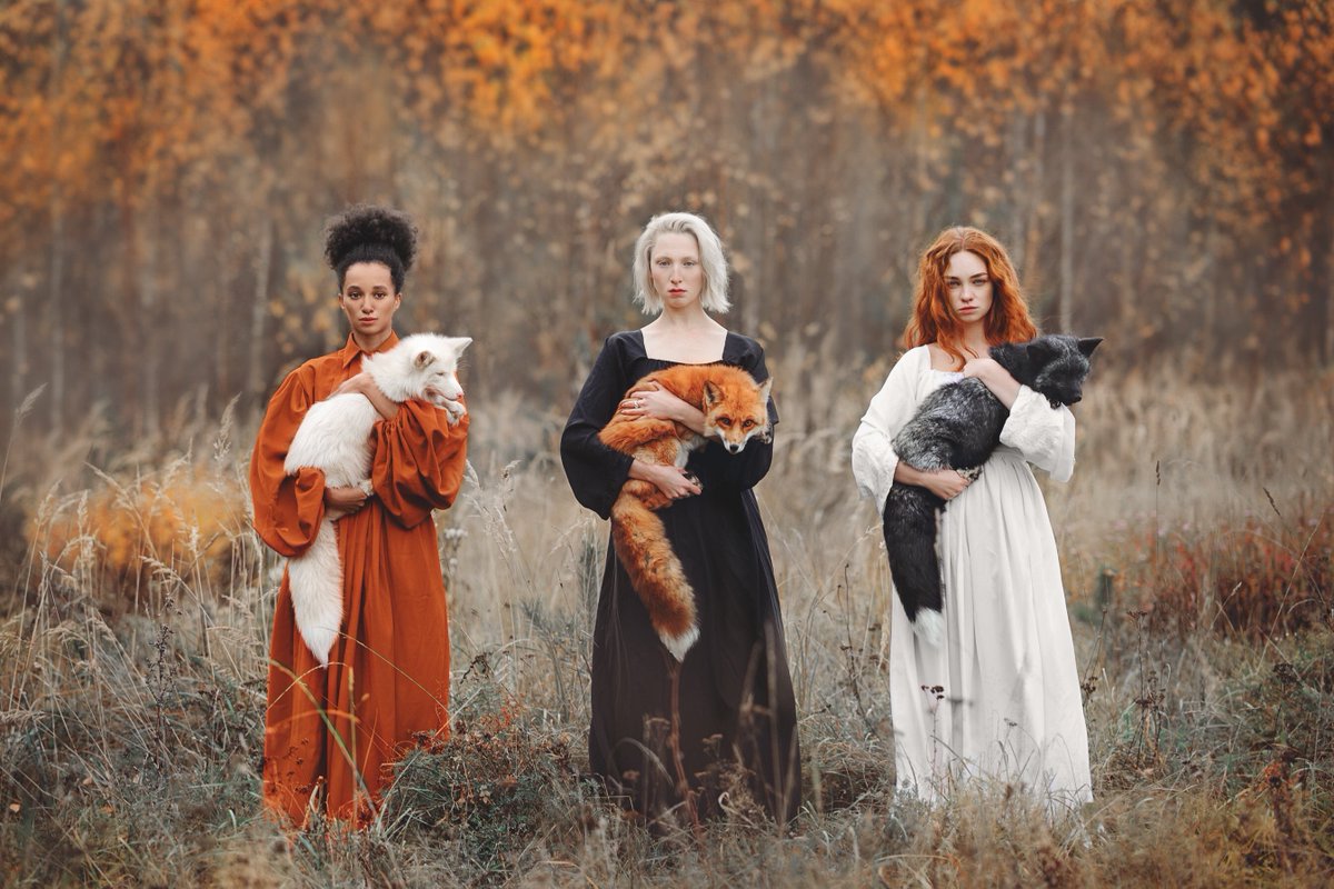 reviewwales's tweet photo. "Witches sometimes took the form of a fox. The animal baffled the hounds, and led huntsmen into dangerous places. Neither mask nor brush would the huntsmen have when the witch led them."

Quote: Folklore of Wales, 1909
Photo: Anastasiya Dobrovolskaya
#FolkloreThursday https://t.co/bj1KClL4M2