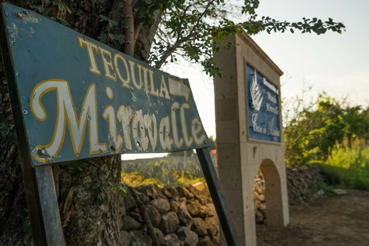 Azuñia Tequila tweet media