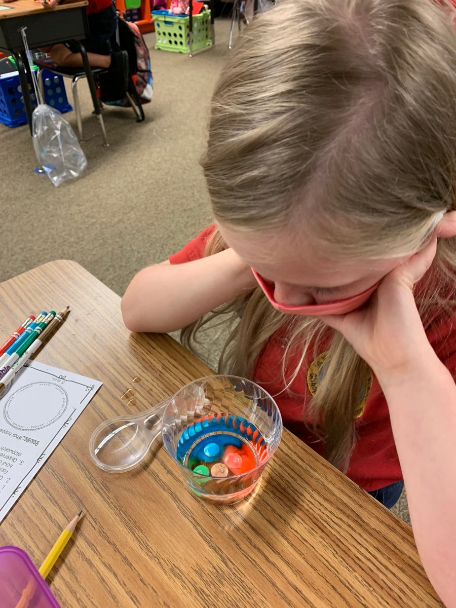 StMarthaCS's tweet photo. 3rd Graders in Mrs. Via-Reque's Science Class conducted experiments today to see what happens to M&M's when placed in water and observed over time. #ExcellenceInKnowledge #STREAM https://t.co/Z3cOHUQcQM