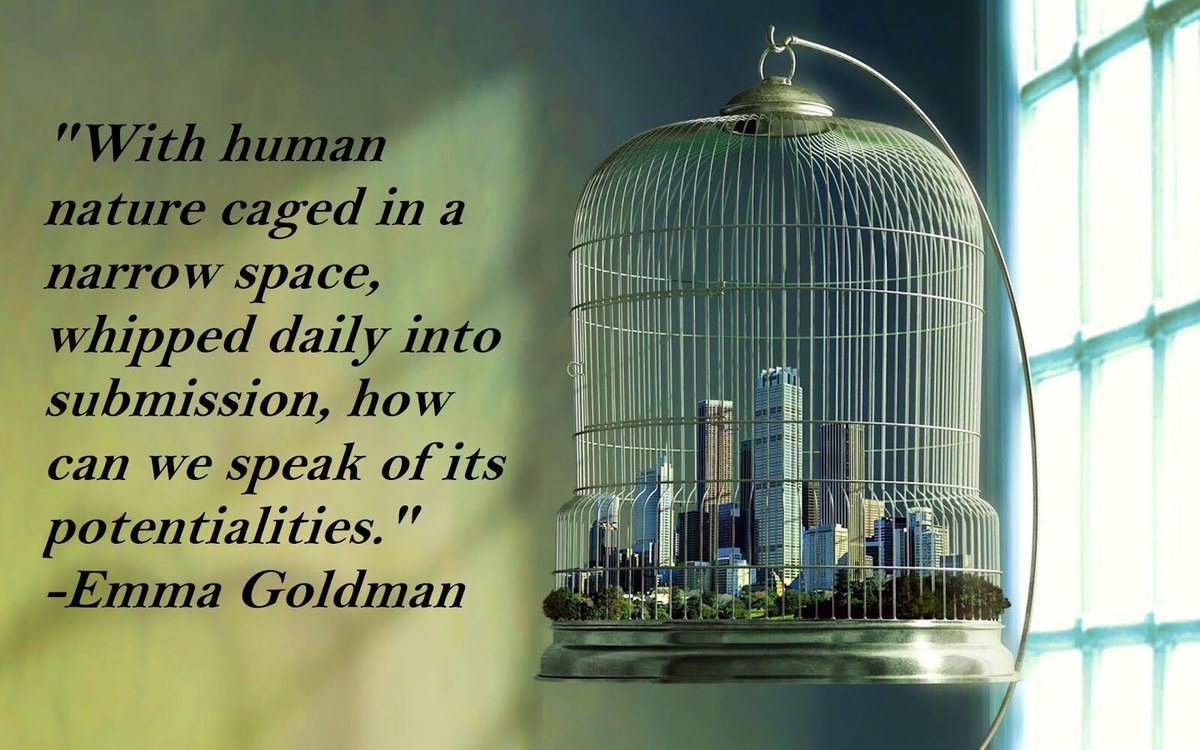 mostrolenk's tweet photo. #HumanZoo #Zoochosis #CivilizedToDeath https://t.co/xH4PWHE8En