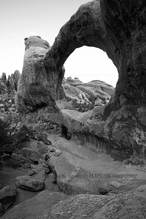 koikecolousa's tweet photo. Double O Arch
ダブル O アーチ
Arches National Park
Copyright #HJPI320100002902
#monochrome #blackandwhitephotography #blackandwhitephoto #landscapephotography #erosion #wonder #coloradoplateau #arch #archesnationalpark #Nikon #nikonphotography #nikond3s #devilsgarden #doubleoarch https://t.co/ozZugnbmtM