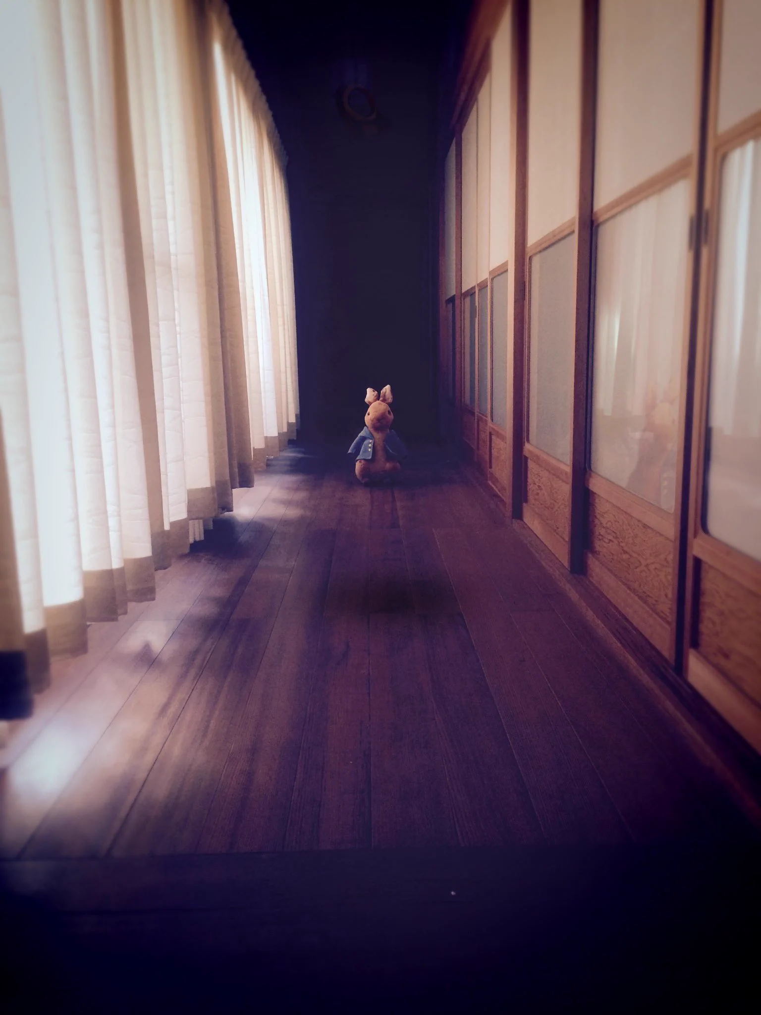 @BristolShubun 実はもっと近くに居るのでは 