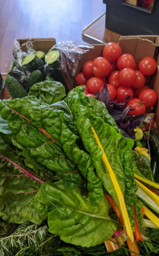 Haslemere Food Bank tweet media