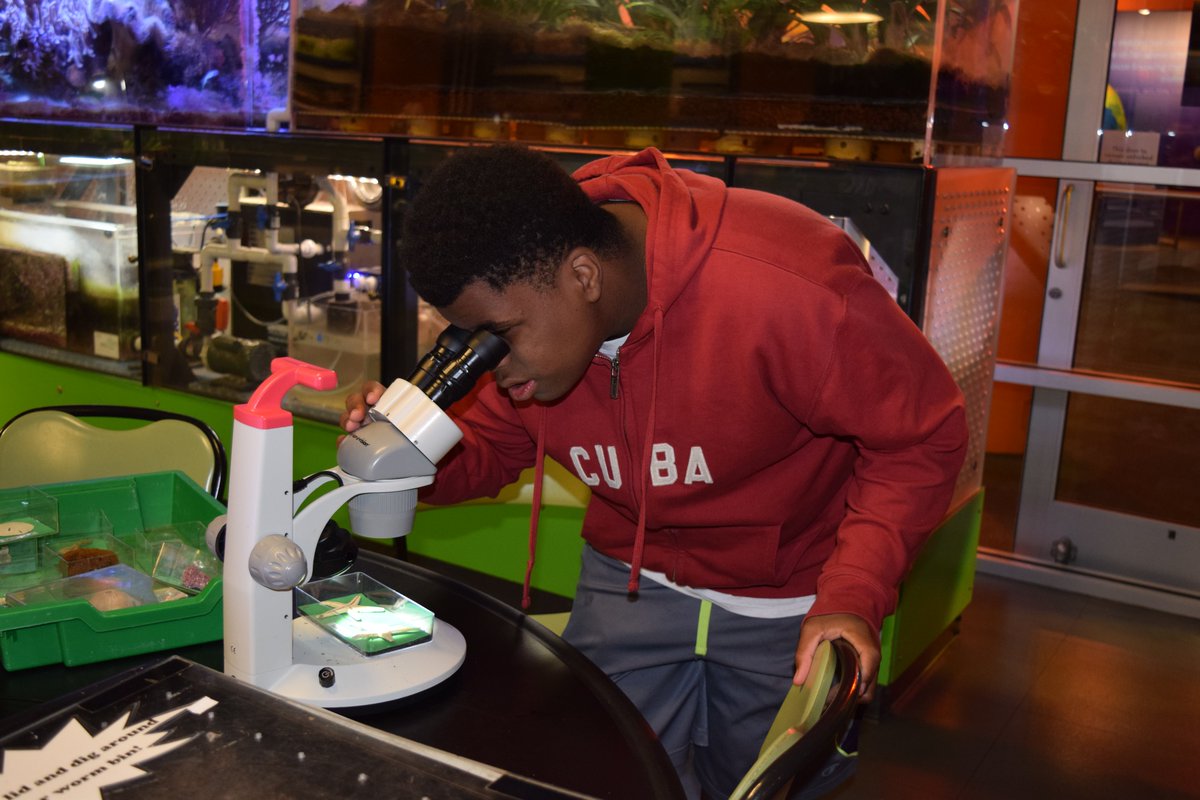 NCAT_VIL_MM's tweet image. Since 2015, we have enjoyed educating and empowering our young men as they matriculate through middle school and explore their STEM identity. Through the #NCAT #VILMM Program we have served more than 550 boys in the Greensboro, NC community.  #AggieDo