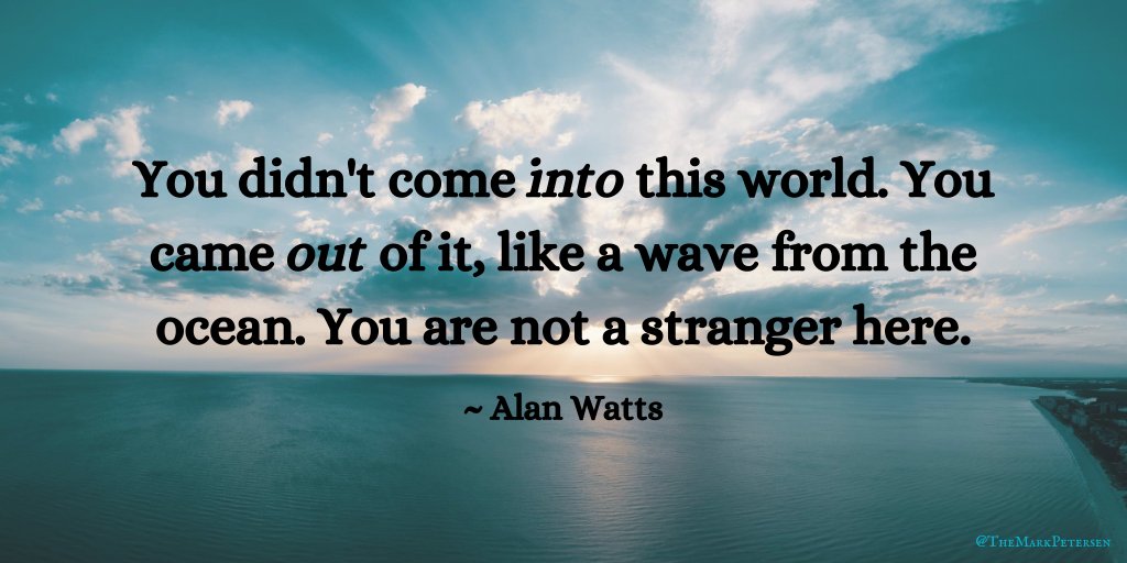 TheMarkPetersen's tweet photo. This goes for feeling connected—we’re all sharing the same home—and being respectful. We live here, all of us, so we might not want to keep trashing the place. #Together #FridayFeelings https://t.co/ACjM8G8lik