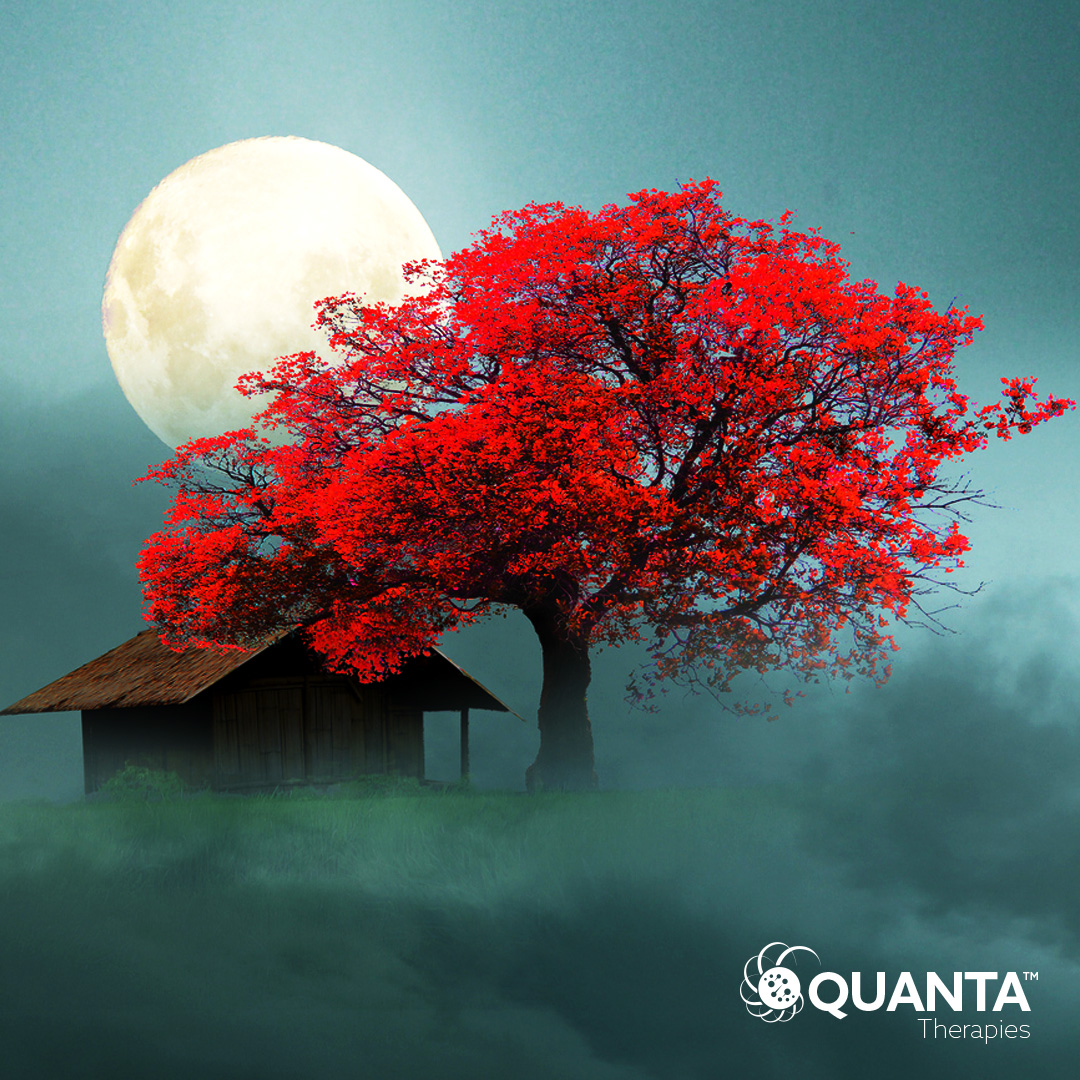 quantatherapies's tweet photo. We cannot stress the importance of good sleep.

Our sleep products can help you heal and renew.

#renew #quantatherapies #sleep #heal #rest #recover #bioenergy https://t.co/EOVvQx0xXG