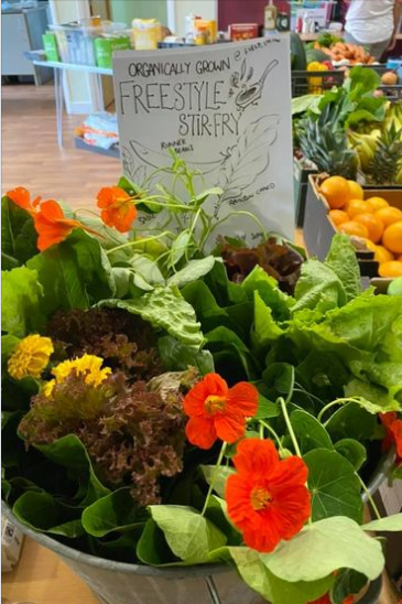 Haslemere Food Bank tweet media