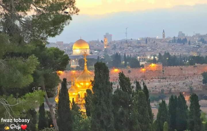 AbduallahPlstin's tweet image. An astonishing view of the Dome of the Rock and the Old City of occupied Jerusalem❤️🇵🇸🙏

منظر مذهل لقبة الصخرة والبلدة القديمة في القدس المحتلة🙏💛🌸