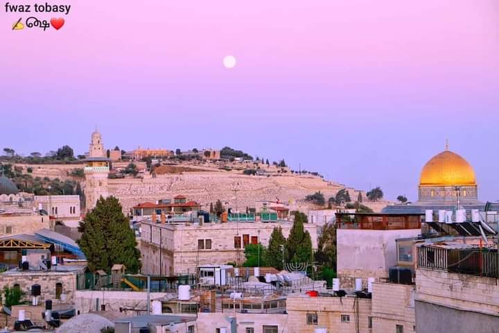 AbduallahPlstin's tweet image. An astonishing view of the Dome of the Rock and the Old City of occupied Jerusalem❤️🇵🇸🙏

منظر مذهل لقبة الصخرة والبلدة القديمة في القدس المحتلة🙏💛🌸