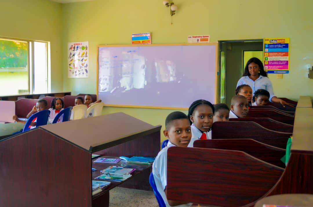 Firstclasspeop1's tweet image. One child at a time #Acceleratedchristianeducation #accelerationchristiancurrriculum #individualizedcurriculum #schooloftomorrow #ace