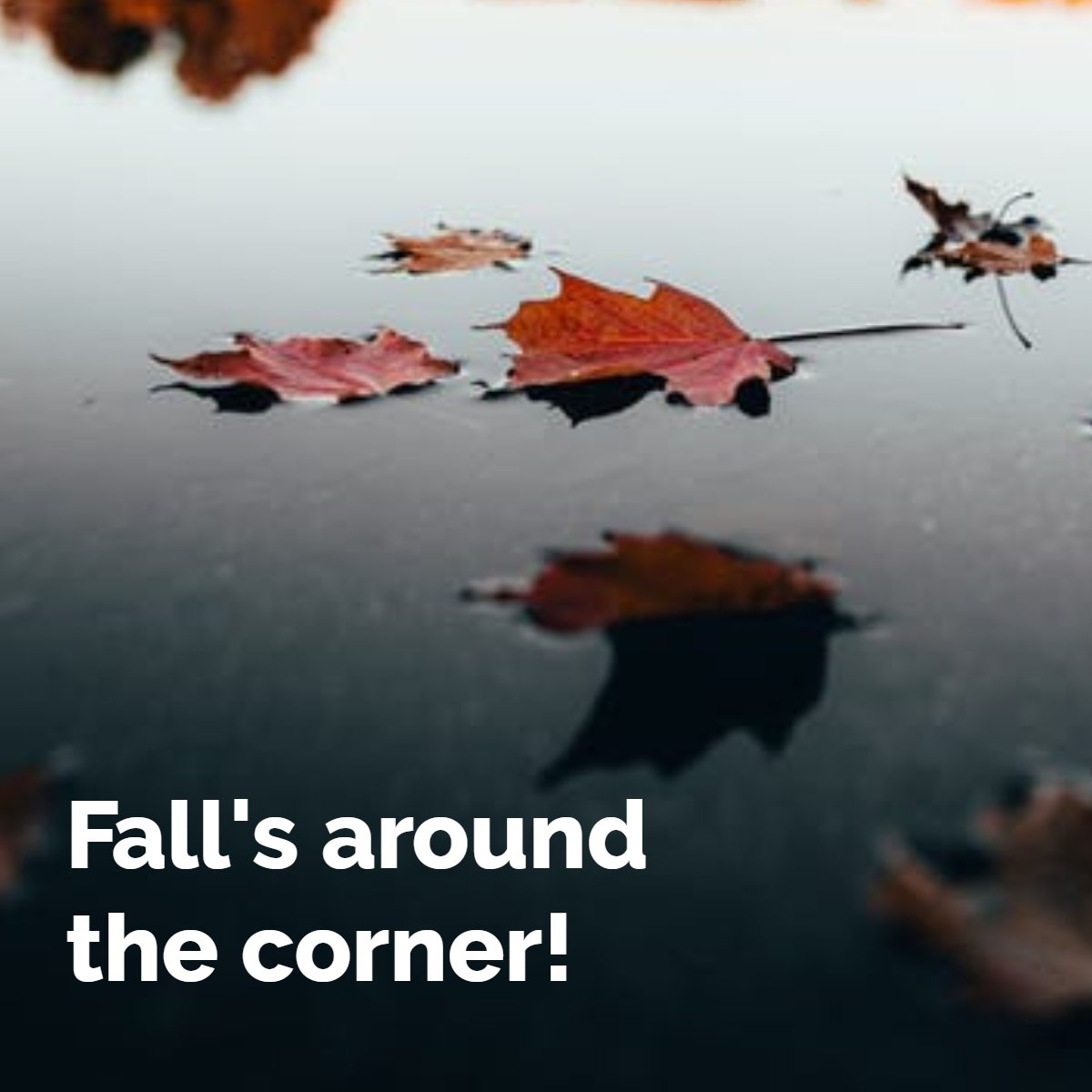 hiddenjewelse's tweet photo. With changing leaves and cooler weather on the horizon, what are some of your favorite pieces to fit the season? #hiddenjewelse #southendlocal #jewelry https://t.co/DIlMvFEsZi