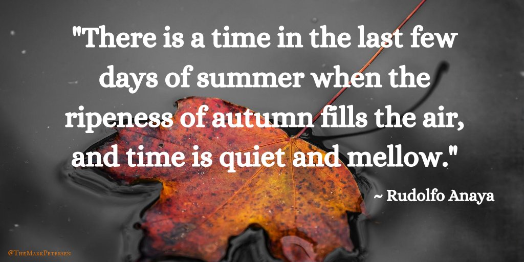 TheMarkPetersen's tweet photo. It’s getting to be that time … #autumnvibes https://t.co/AugwIIWwCe
