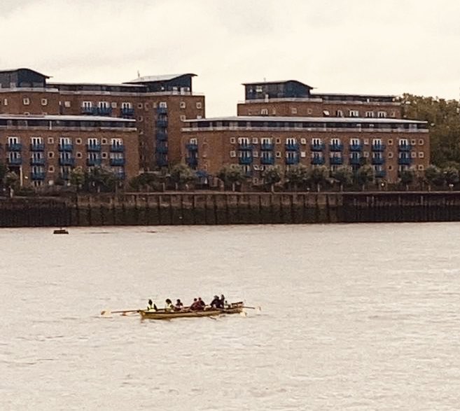 rowjoelane's tweet photo. Good to see the Emmeline crew out on the #RiverThames It’s now good to go for all members of the @TTRALondon rowing family to get back to #TraditionalRowing #ThamesWatermanCutters Thanks to @Trinity_Tide Rower Stuart Turner for the picture. https://t.co/htcCaaGeyo