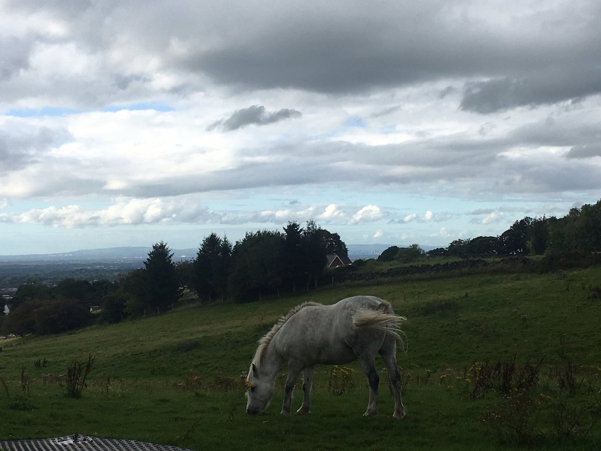 HelenEv58306396's tweet photo. Moody weather for today’s #postworkrun #Macclesfield https://t.co/8QNZpl8LnK
