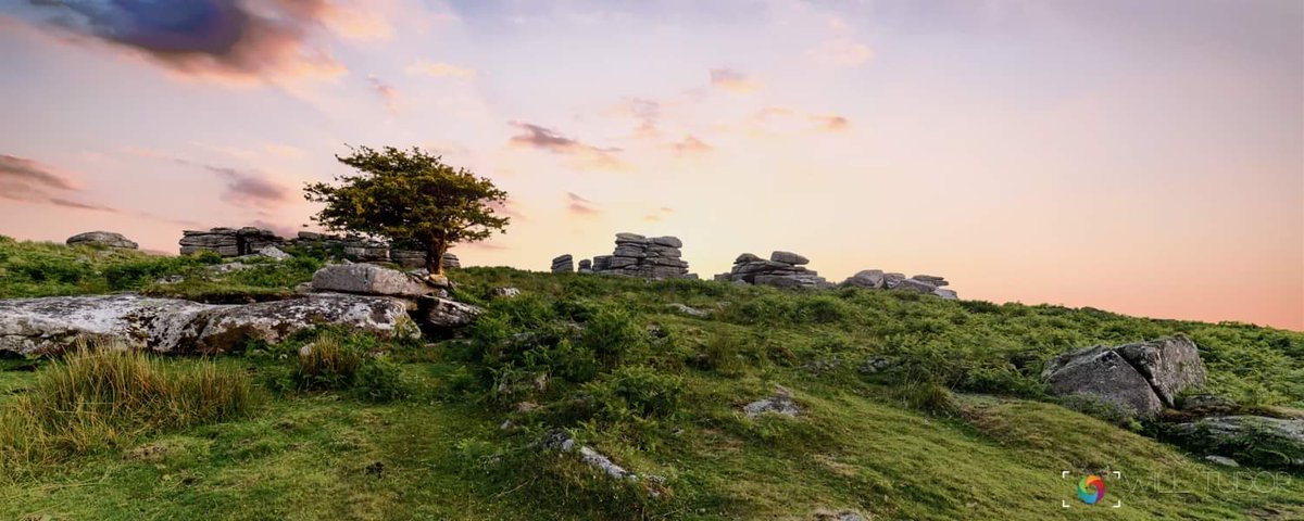 WillTudor's tweet photo. #Combestonetor
@dartmoornpa 
#Dartmoor #dartmoornationalpark #visitdartmoor #visitdevon #landscapephotography #landscapelovers #Devon #devonlife #nikon #Travel #sunset #goldenhour #nikonphotography #nikonuk #samyang #willtudorphotography #britishnature https://t.co/bsWzaQ3riC