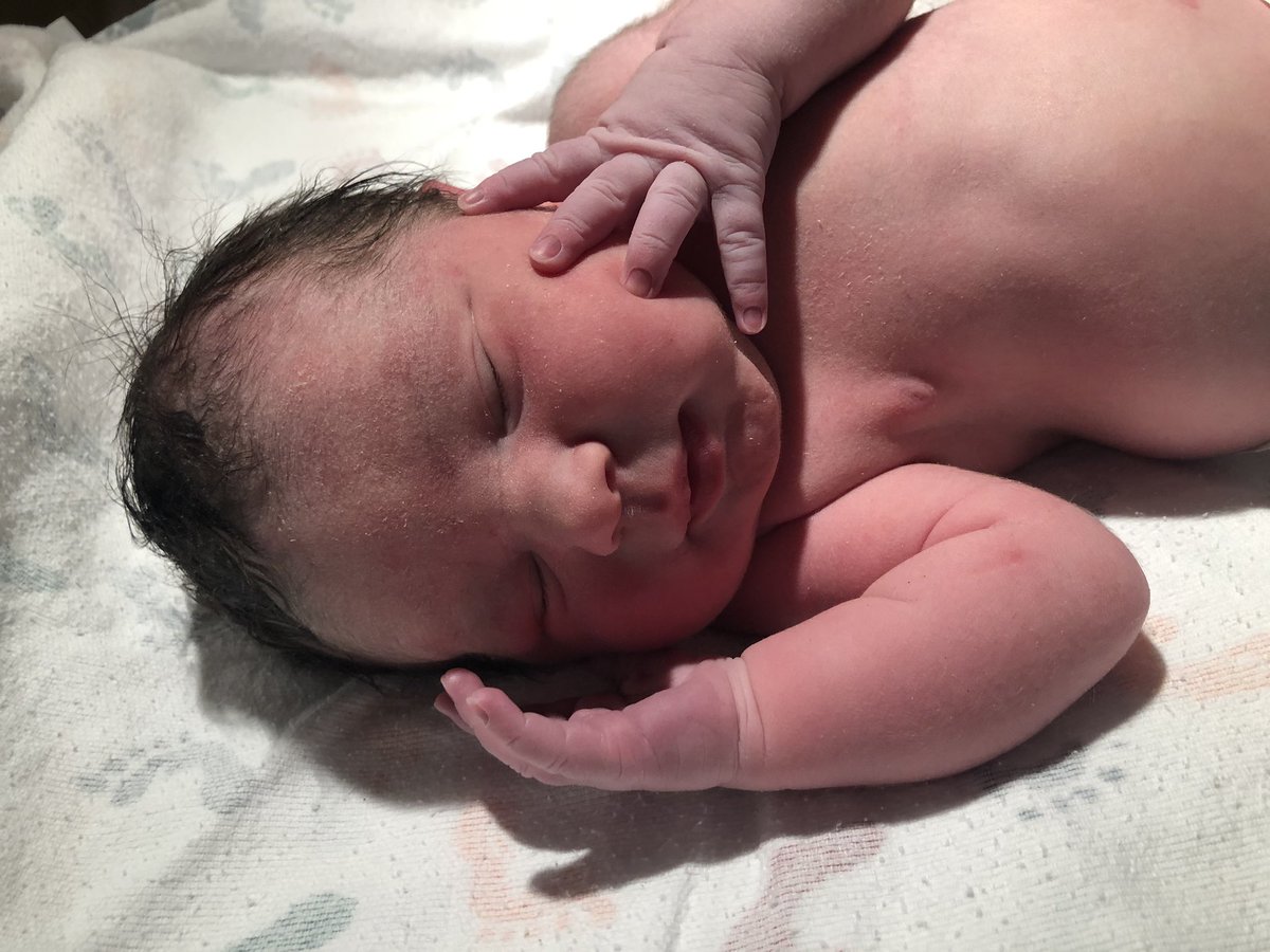 misscasey41's tweet photo. Salem Josephine ๐๐ healthy and happy as can be - with quite the Earthside story #MamasMini #sweetandspooky https://t.co/ajCHHyME3p