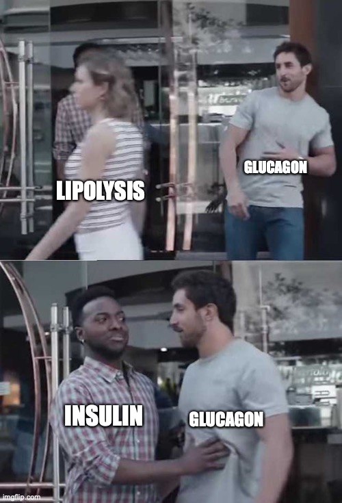 And HIGH INSULIN blocks access to your fat reserves = BLOCKS LIPOLYSIS.Why would you burn fat, when you have enough glucose around?Also, when Insulin is High, Glucagon is low. And vice-versa "Alli I can't understand it this is so difficult omg help"