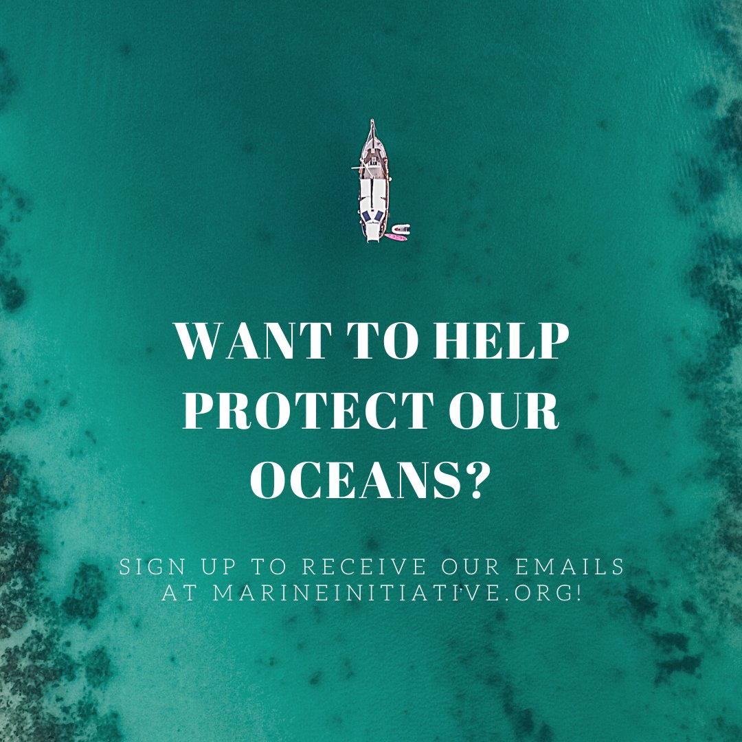 The_Marine_Ed's tweet photo. Are you passionate about ocean conservation? Do you want to teach kids how to protect our seas? Would you like to provide food to shelters and assist in disaster relief? If so, sign up for our email list at https://t.co/9BLTS8msU5 to stay informed on how to support our mission! https://t.co/myQVdUOzOX