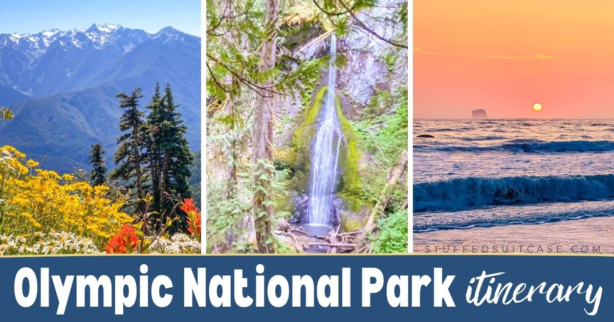 StuffedSuitcase's tweet photo. #AD Plan your visit to Olympic #NationalPark with this ideal itinerary that includes all the popular waterfalls, hikes, rainforests, and beaches! @Expedia 
{https://t.co/GRoxLHqmUZ}
#travel #ExpediaPic https://t.co/2pFx6Vvty5