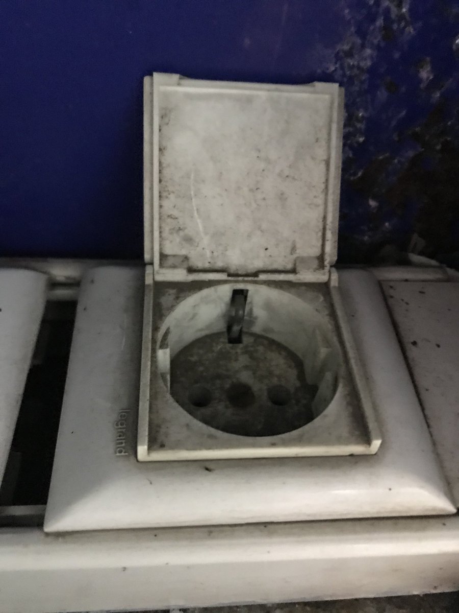 paulrowantree's tweet image. Not really sure about this ...