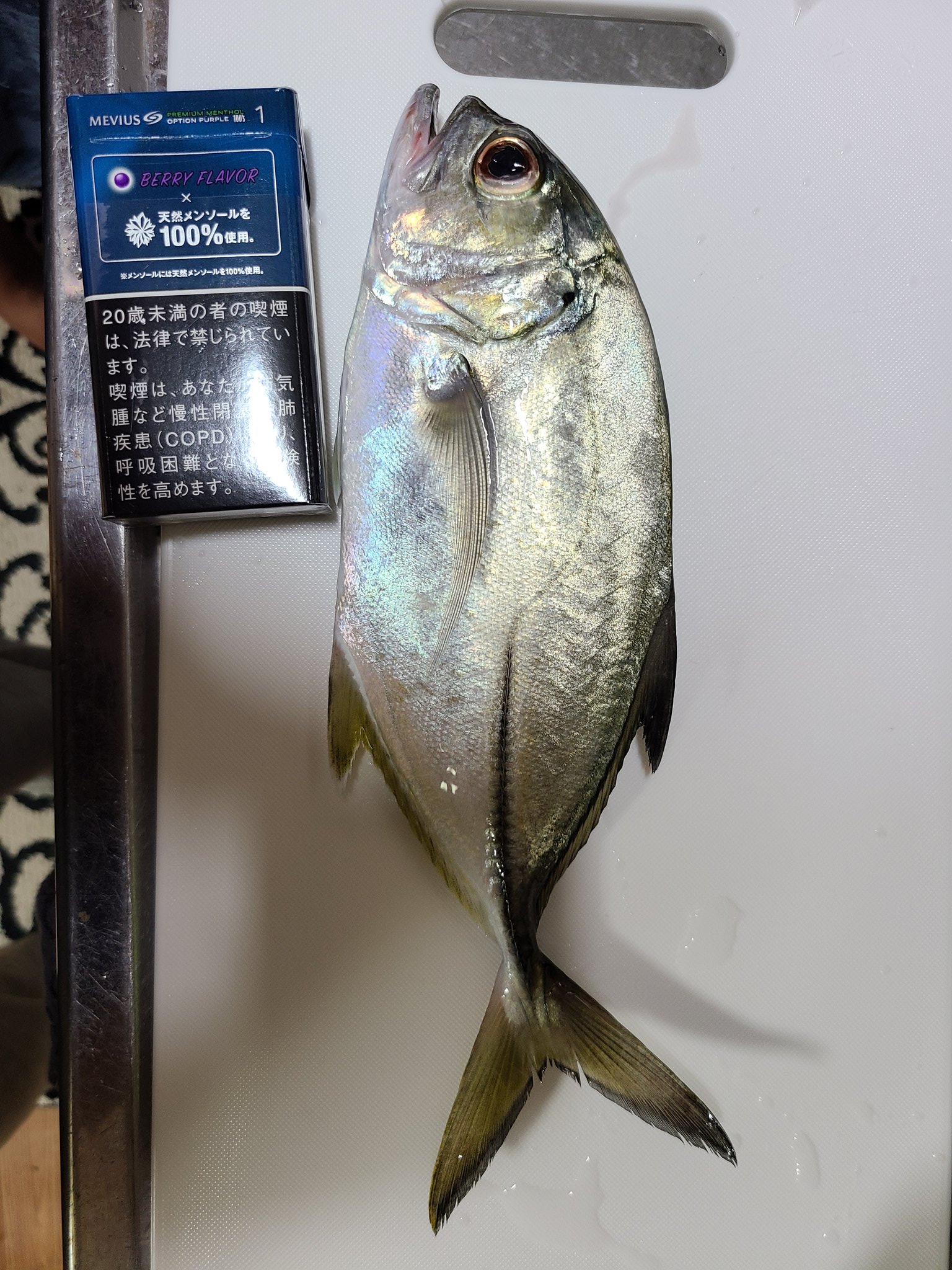 エサなし Twitter Search Twitter