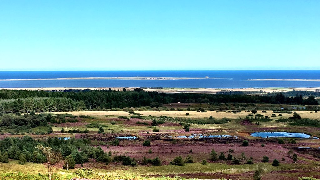 SouthernLass tweet media