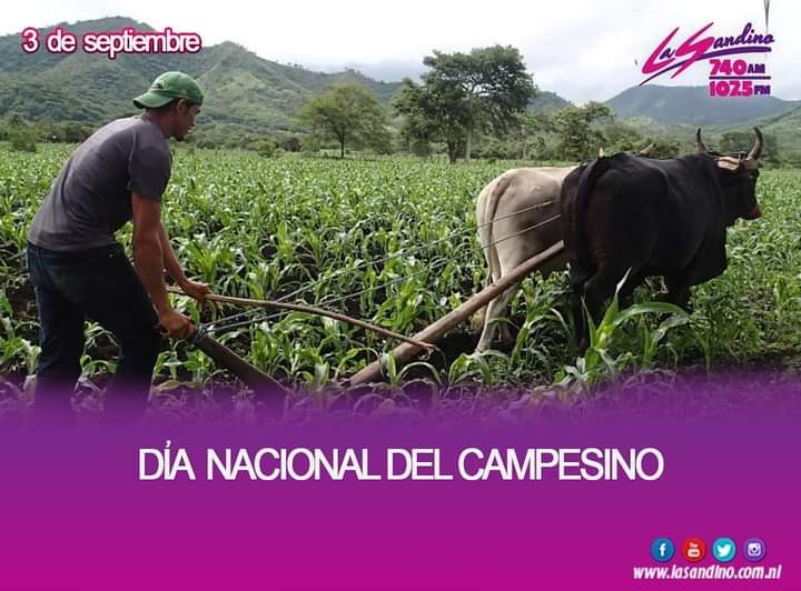 Serge_137's tweet photo. #AlDia En Nicaragua cada 3 de septiembre se celebra el Día Nacional del Campesino, en honor al dirigente campesino Bernardino Díaz Ochoa, quien fue asesinado por la guardia nacional en La Tronquera #Matagalpa https://t.co/YljDHW5Rce