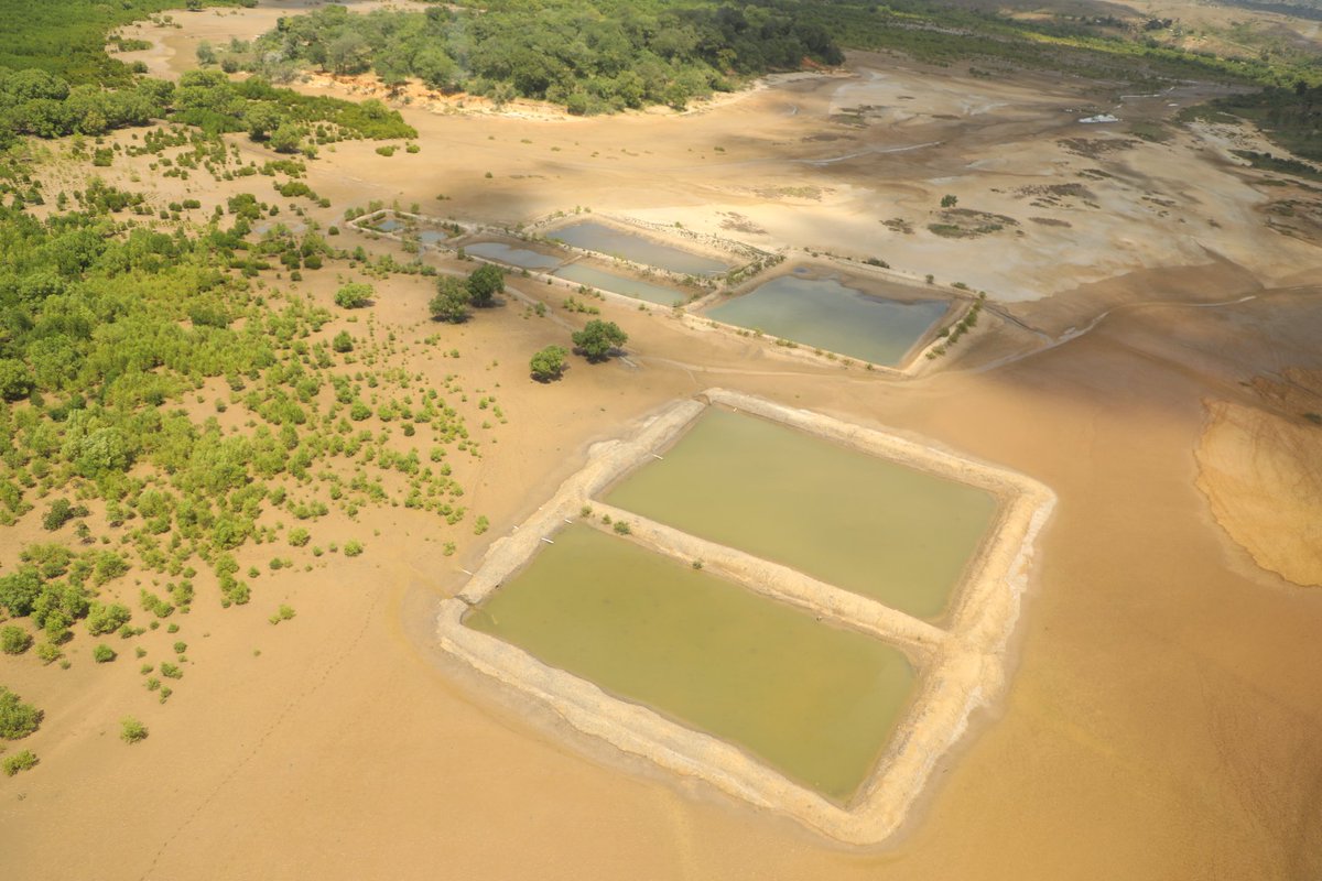 Chief Conservator of Forests (CCF) tweet media