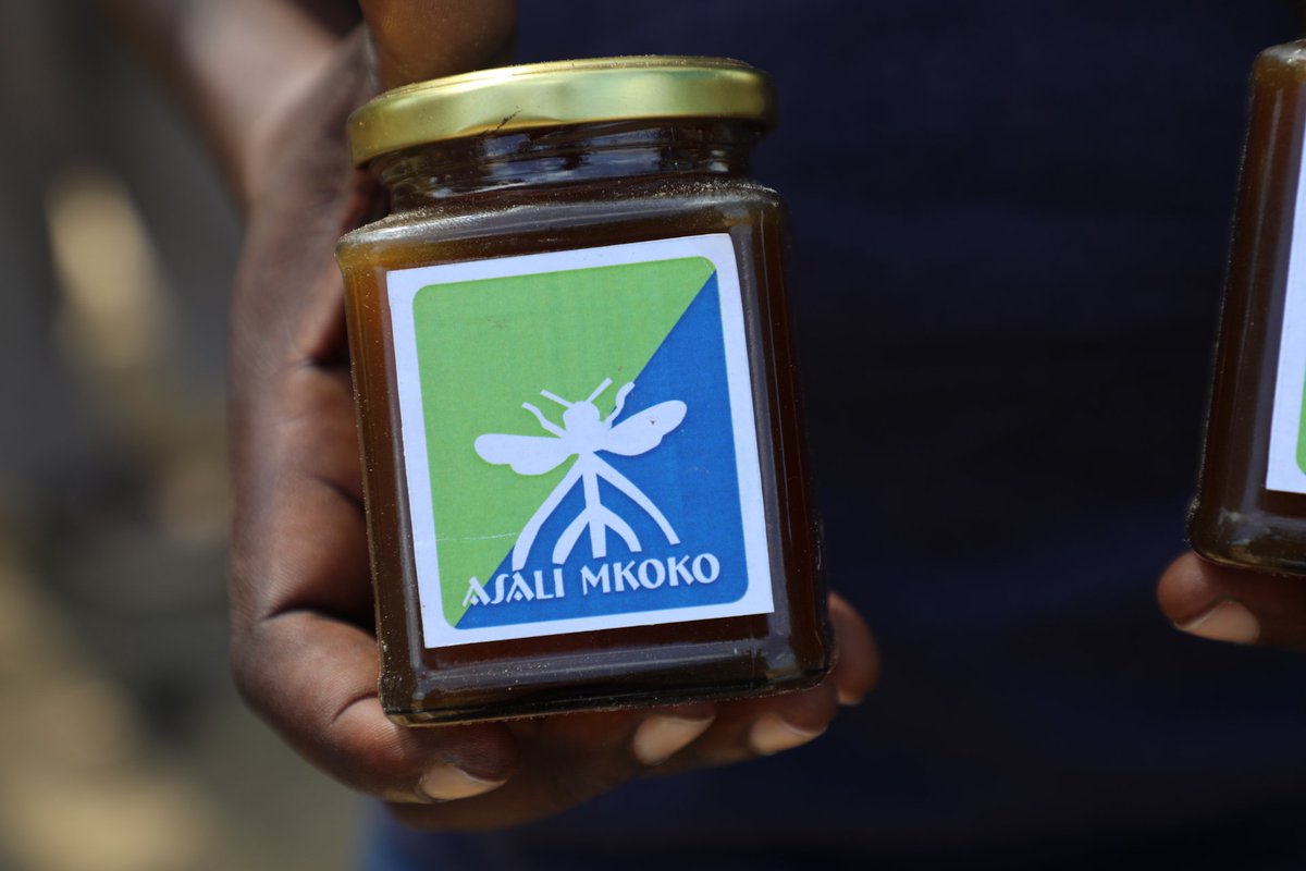 Chief Conservator of Forests (CCF) tweet media