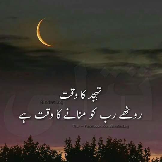 Aقib💞 tweet media
