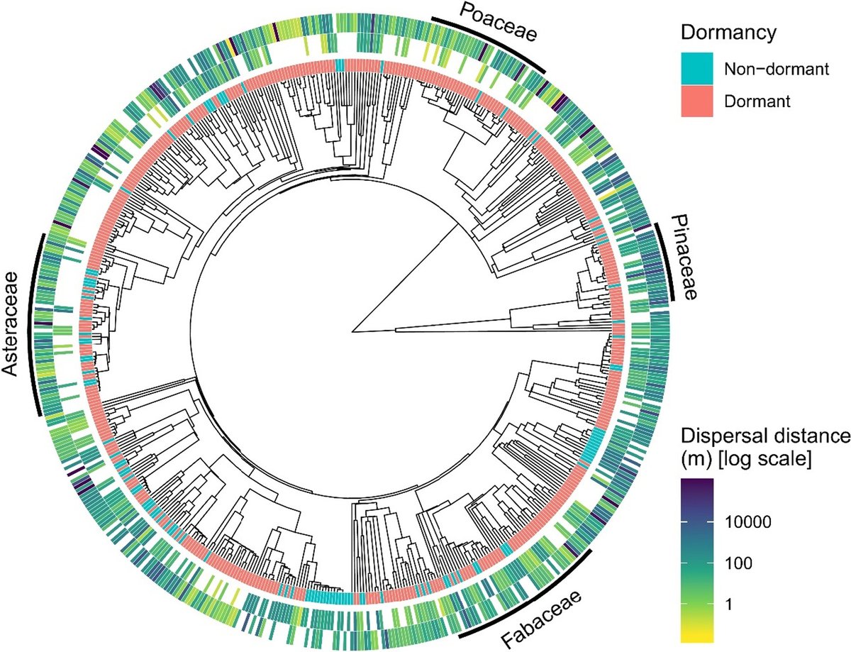 Antonelli Lab tweet media