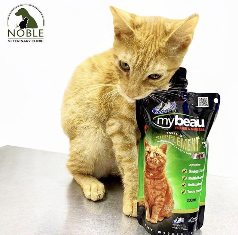🐱MyBeau supplement offers a unique blend of omega 3 &amp; 6 essential fatty acids while also providing the important water and fat soluble at 99.5% absorption rates. MyBeau also contains flavourings of yeast, meat &amp; garlic for high palatability🐱