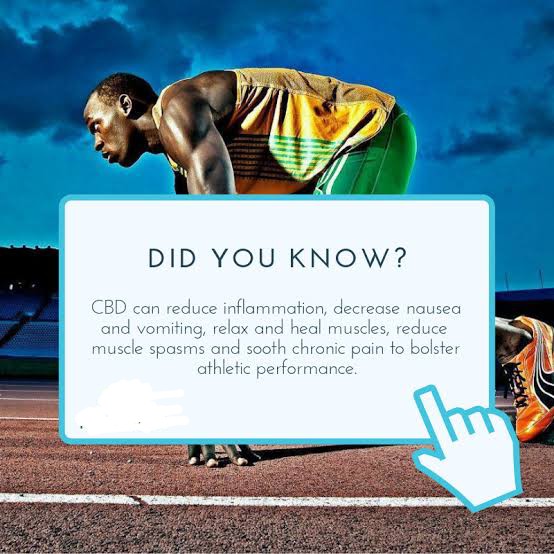 ChillBrother2's tweet photo. Buckle up and let CBD help you get to the top of your game. Reducing pain, anxiety, or just general inflammatory issues is what our athletes have reported helping them be at their best when it counts.#chillbrother #cbdproducts #cbdmanchester #cbdmemes #cbdfunnymemes #cbdstore https://t.co/oNDjrjry9A