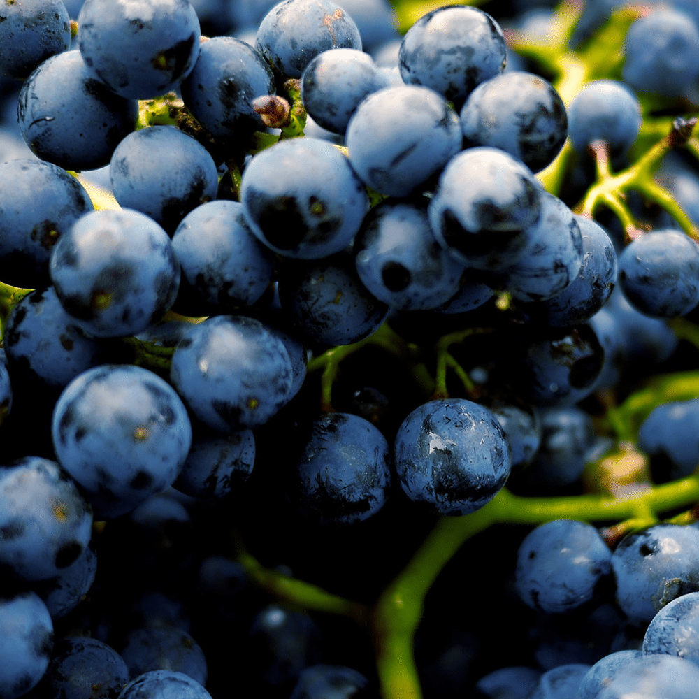 Waterbit, Inc. tweet media