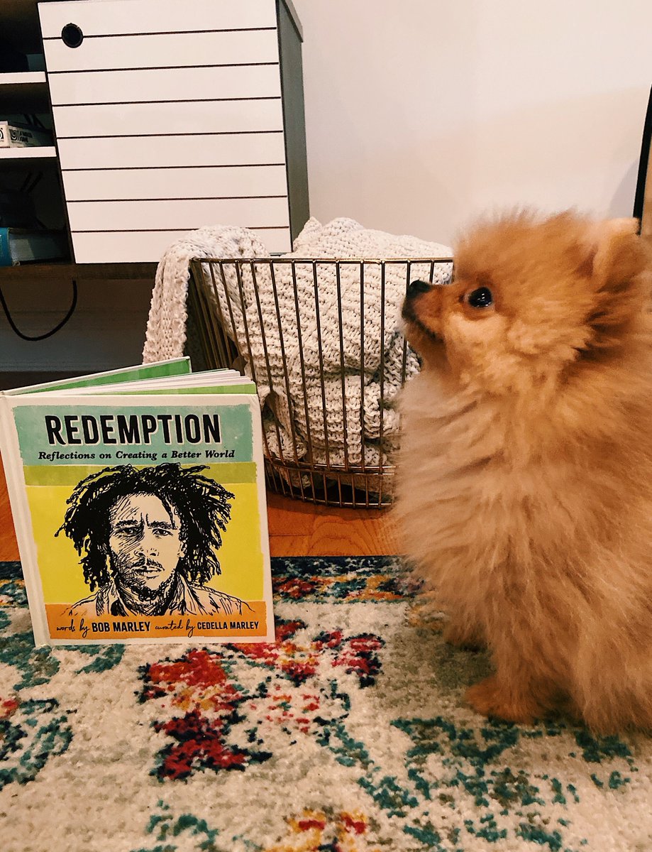 cedellamarley's tweet photo. Some light Sunday reading for this little guy π #RedemptionBook https://t.co/4xaAYiiINd https://t.co/scLzh6EDj2