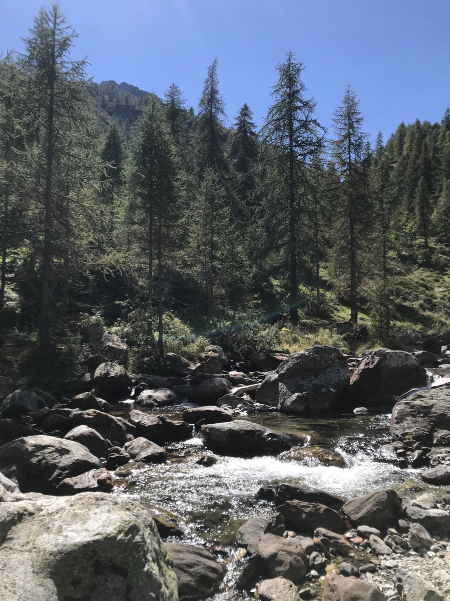 simona_azzolini's tweet photo. Is there anything more #exciting than #experiencing #nature with kids? Nothing compares to their smiles, giggles and screams of joy! #environment #lovenature #learningnature #mountains #alps https://t.co/qNXcth4i03