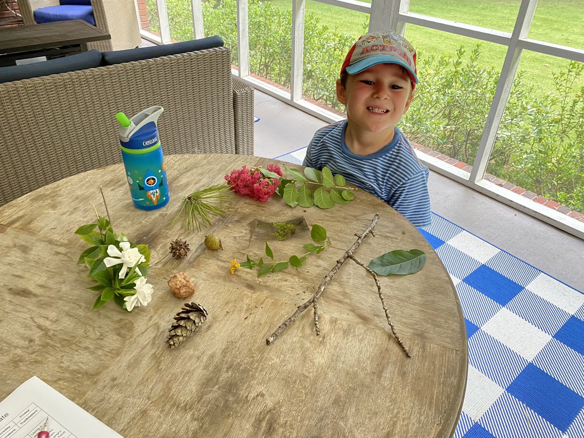 Suzanne Culbreth, NBCT tweet media