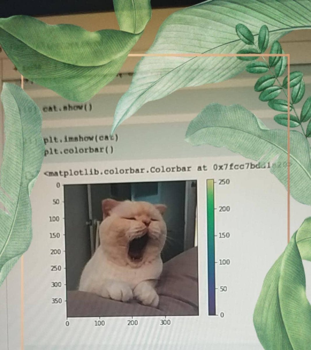 Vaishnavinaa's tweet photo. Staying up late and learning an entirely new language 3 days straight, just to get an image of a yawning cat.....
WORTH IT! ππ
#AstroHackWeek https://t.co/DtOt2jxdxI