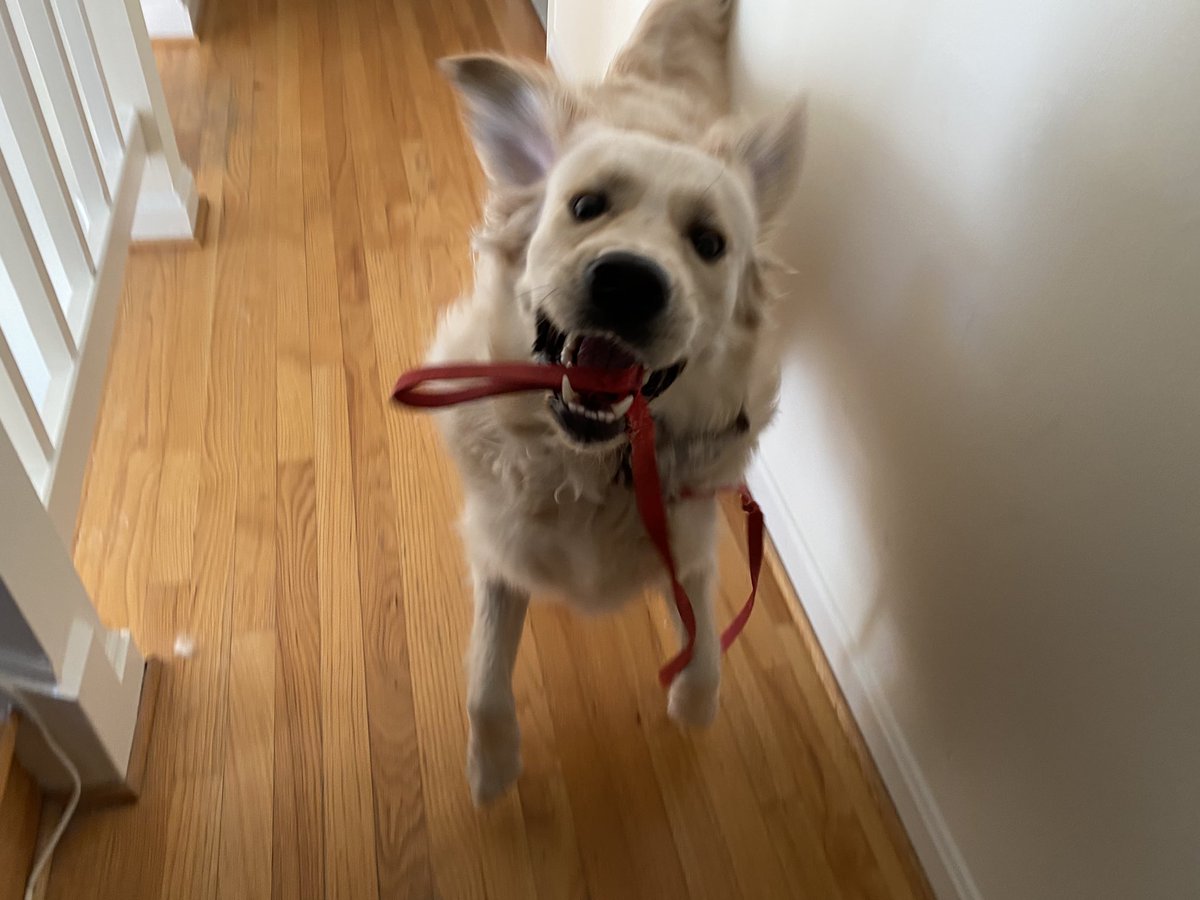 Caleb Hull tweet media