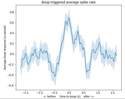 Time delaying the boops, we obtain a time lag matrix from which we can obtain a spike-triggered average, correcting for boop correlations. Lo and behold... a spike triggered average! This shows the average change in the spike response right before and after a boop. 5/