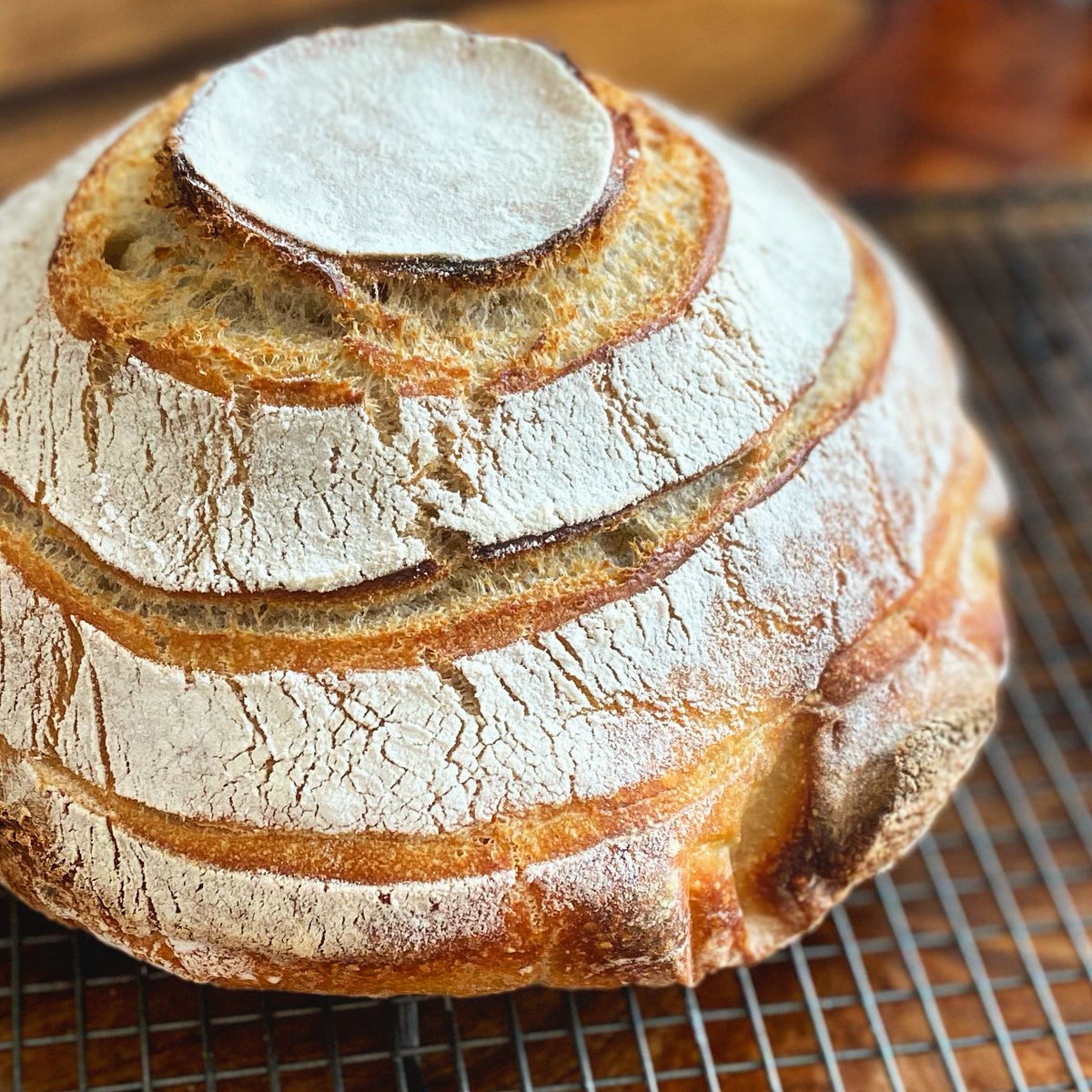 Hayleydaviez's tweet photo. A freshly baked Sourdough loaf #thursdaybaking https://t.co/Y69Mcebvt4