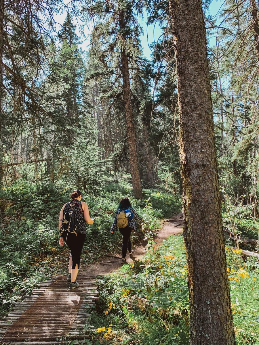 Aliciahphoto's tweet photo. Successful camping/hiking weekend despite the fire ban! Always good to get out into the #Alberta wilderness. #cypresshills #elkwater https://t.co/BXrbyYB0x4